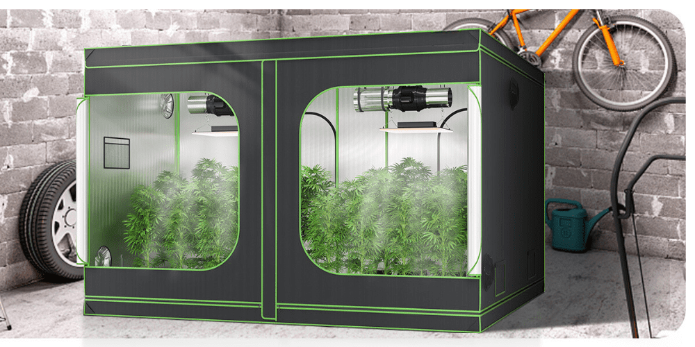The Ultimate Indoor Growing Experience with the 2x2 Grow Tent