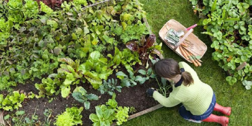 The Awesome Secrets of Gardening: A World of Fun!