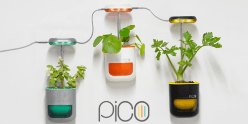 The Tiny Garden That's All Yours: Meet Pico Garden Buddy!