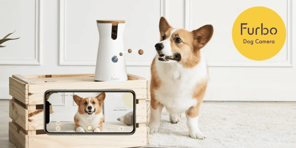 Never Miss a Moment with Your Dog with this Camera!