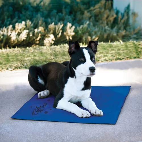 K&H Pet Cooling Mat: The Secret to Keeping Your Dog Cool All Summer!